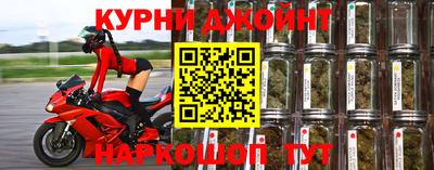 PSILOCYBIN Бугуруслан