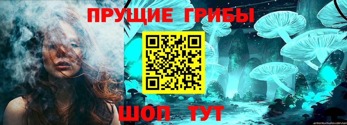 Галлюциногенные грибы прущие грибы  Вход с VPN  Соль-Илецк  Псилоцибиновые грибы GOLDEN TEACHER 